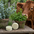 Peppermint & Eucalyptus Tallow Soap Bar