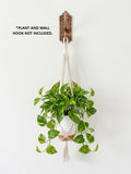 Macrame Plant Hanger Style #2